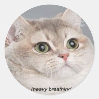 *重い呼吸 ラウンドシール