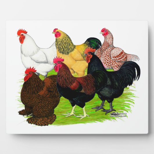 重い鶏の品揃え フォトプラーク (正面)