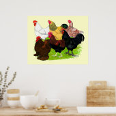 重い鶏の品揃え ポスター (キッチン)