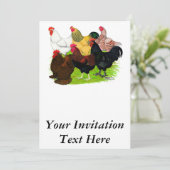 重い鶏の品揃え 招待状 (スタンド正面)