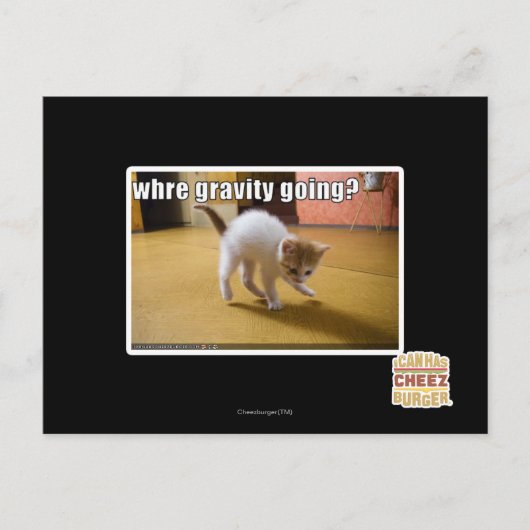 重力はどこへ行く? ポストカード (正面)