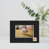 重力はどこへ行く? ポストカード (スタンド正面)