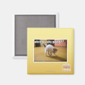 重力はどこへ行く? マグネット (正面/裏面)