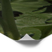 重力 ポスター (角)