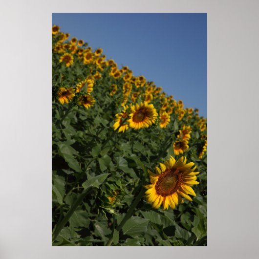 重力 ポスター (正面)