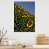 重力 ポスター (キッチン)