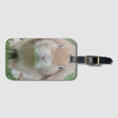 重大なバニー写真 ラゲッジタグ (正面横)