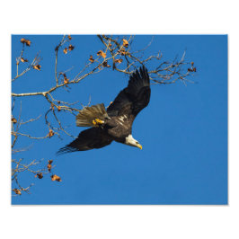 重大な業務 フォトプリント           