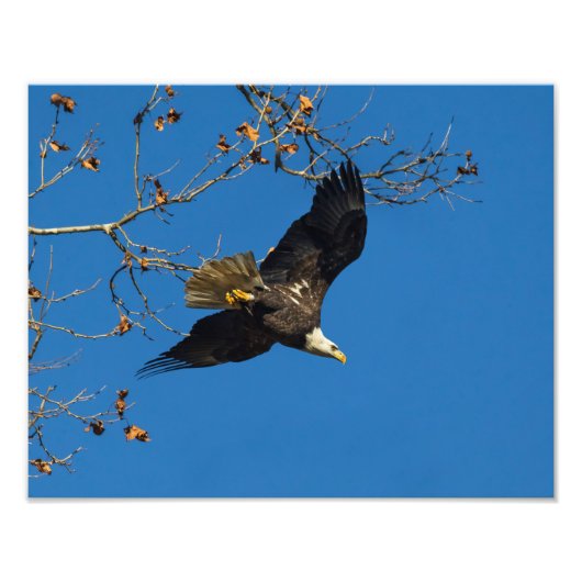 重大な業務 フォトプリント            (正面)