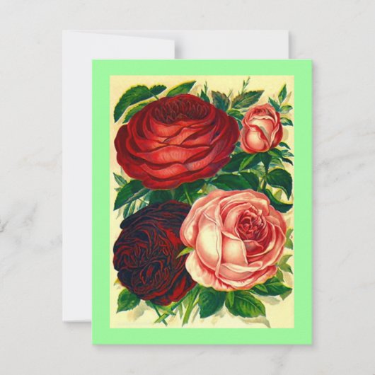 重宝バラ~卒業パーテかわいらしィー招待状! 招待状 (正面)