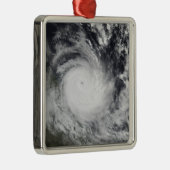 重度の熱帯低気圧地域のハミッシュ メタルオーナメント (右)