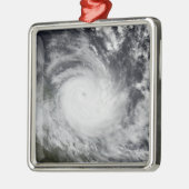重度の熱帯低気圧地域のハミッシュ メタルオーナメント (左)