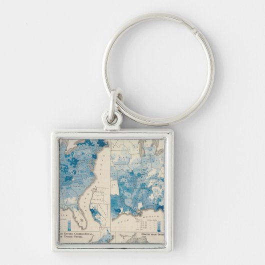 重要な統計、国勢調統一された査 キーホルダー (正面)