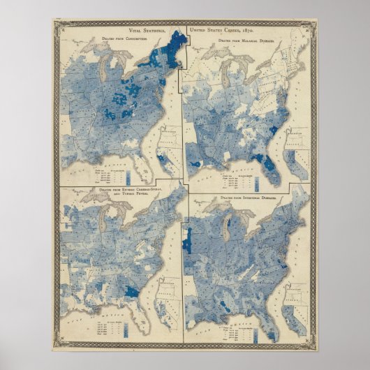 重要な統計、統一された州調査 ポスター (正面)