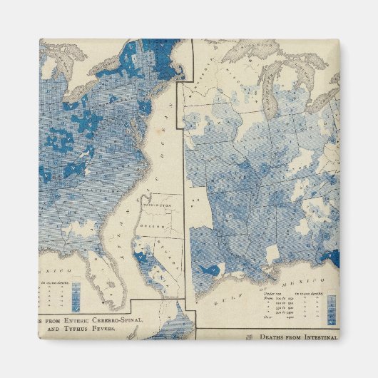 重要な統計、統一された州調査 マグネット (正面)