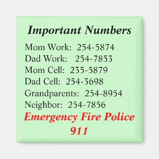 重要数磁石 マグネット (正面)