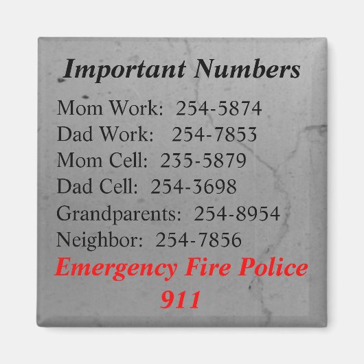 重要数磁石 マグネット (正面)