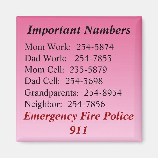 重要数磁石 マグネット (正面)