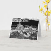 重金属 カード (黄色い花)