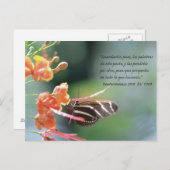 重陽子29:9タルジェタポスタル ポストカード (正面/裏面)