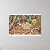 野うさぎ キャンバスプリント (正面)