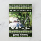 野おもしろい生の老亀 カード (内部)