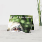 野おもしろい生の老亀 カード (正面)