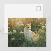 野お洒落花畑の猫 ポストカード (正面/裏面)