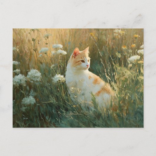 野お洒落花畑の猫 ポストカード (正面)