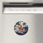 野だし撮影マグネット マグネット (インサイチュ (食洗機))