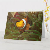 野だの魚は緑色のアネモネ。コラルリーフラジャアンパット | カード (黄色い花)