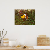 野だの魚は緑色のアネモネ。コラルリーフラジャアンパット | ポスター (キッチン)