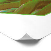 野だの魚は緑色のアネモネ。写真デザイン | ポスター (角)