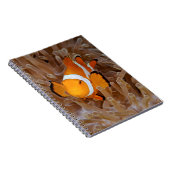 野だ-モロカイ、北岸の崖 ノートブック (右側)