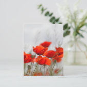 野にポピーの花。 ポストカード (スタンド正面)