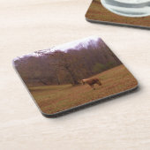 野に住むブラウンとブロンドの馬 コースター (左側)