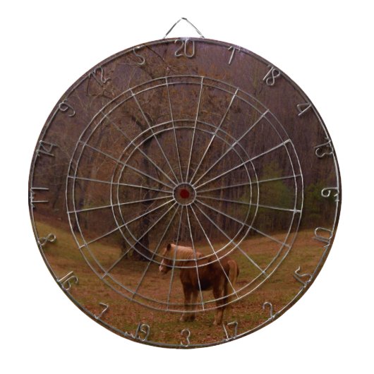 野に住むブラウンとブロンドの馬 ダーツボード (正面)