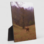 野に住むブラウンとブロンドの馬 フォトプラーク (側面)