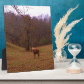 野に住むブラウンとブロンドの馬 フォトプラーク (側面)