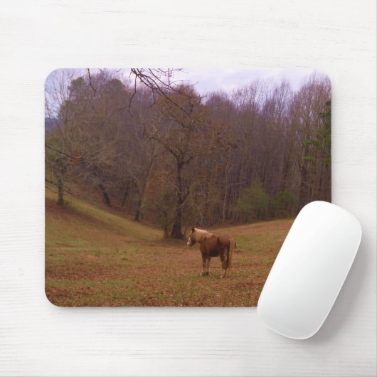 野に住むブラウンとブロンドの馬 マウスパッド (マウス)