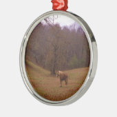 野に住むブラウンとブロンドの馬 メタルオーナメント (左)