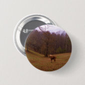 野に住むブラウンとブロンドの馬 缶バッジ (正面&裏面)