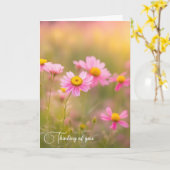 野に咲くピンクの野デイジー カード (黄色い花)