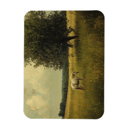 野に放牧する白馬 マグネット