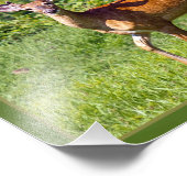 野に鹿がいる フォトプリント            (角)