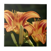 野のユリを考える タイル (正面)