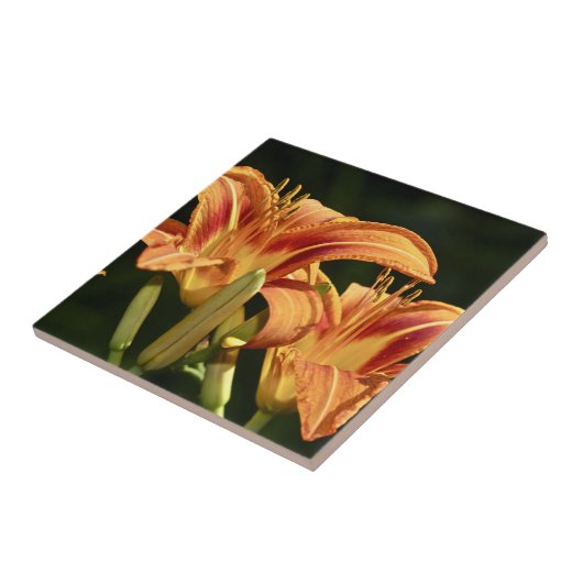 野のユリを考える タイル (側面)