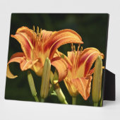 野のユリを考える フォトプラーク (側面)