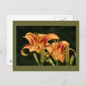 野のユリを考える ポストカード (正面/裏面)