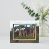 野の木々 ポストカード (スタンド正面)